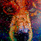 Face of a bear with colorful brush stokes